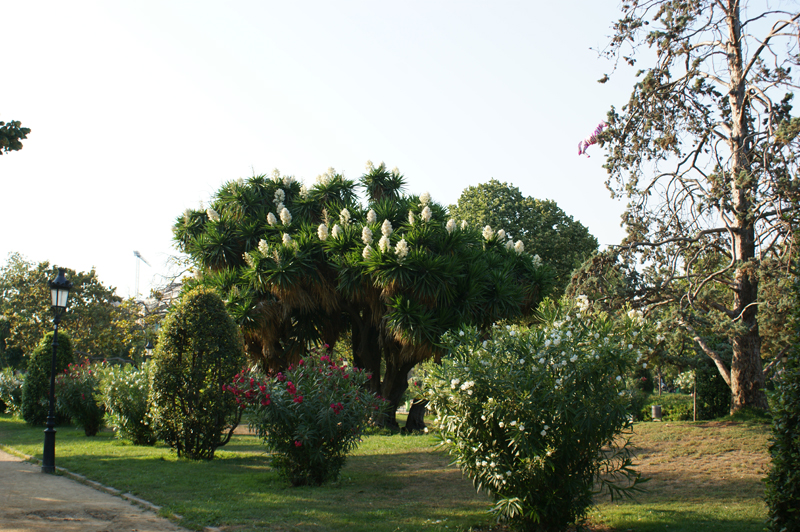 35 дней в Европе. Москва-Греция-Италия-Франция-Испания-Германия-Чехия-Москва