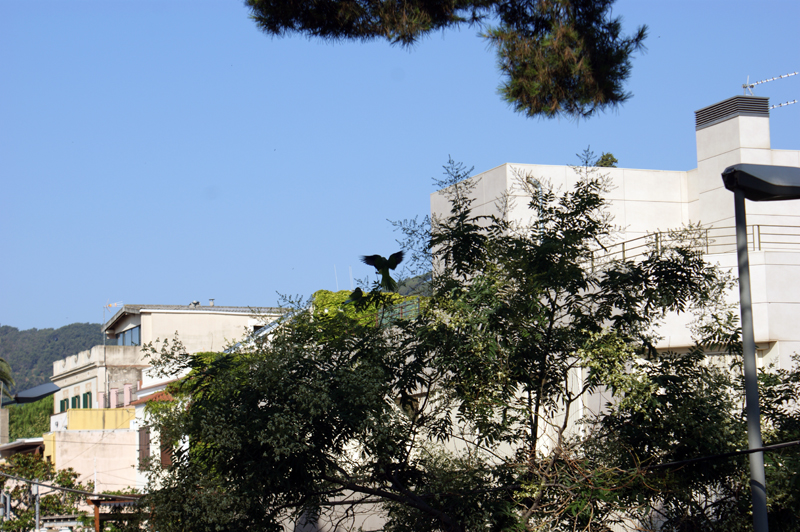 35 дней в Европе. Москва-Греция-Италия-Франция-Испания-Германия-Чехия-Москва