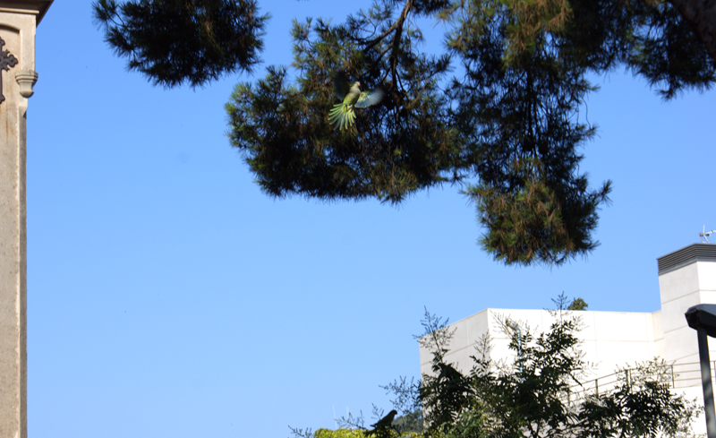 35 дней в Европе. Москва-Греция-Италия-Франция-Испания-Германия-Чехия-Москва