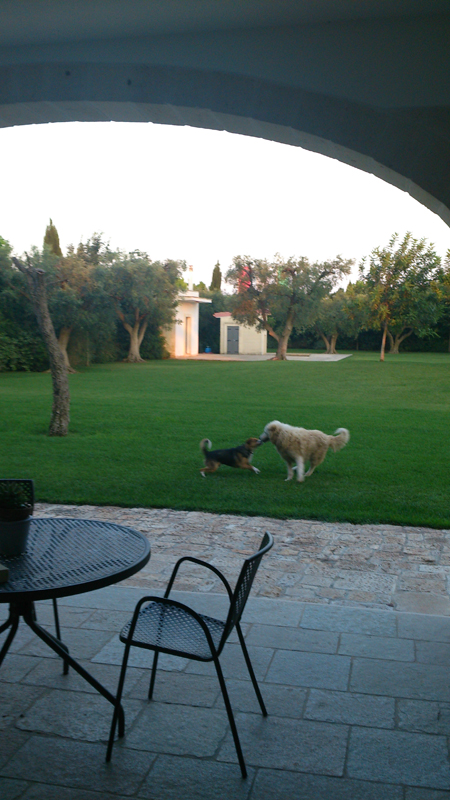 35 дней в Европе. Москва-Греция-Италия-Франция-Испания-Германия-Чехия-Москва