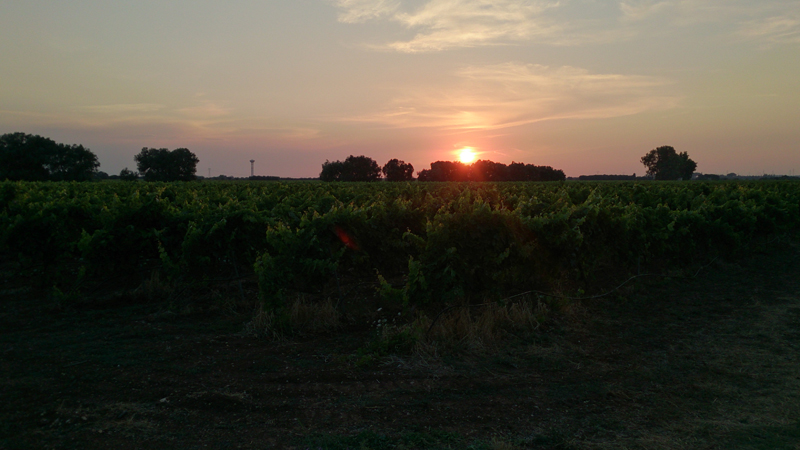 35 дней в Европе. Москва-Греция-Италия-Франция-Испания-Германия-Чехия-Москва