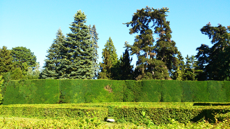 35 дней в Европе. Москва-Греция-Италия-Франция-Испания-Германия-Чехия-Москва