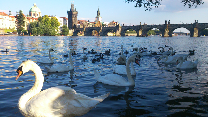 35 дней в Европе. Москва-Греция-Италия-Франция-Испания-Германия-Чехия-Москва
